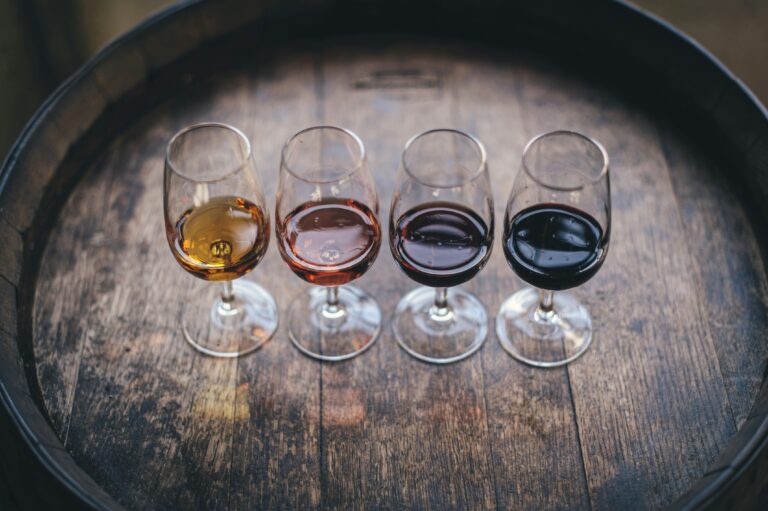 Wine Tasting 101: Mastering the Art of the Vine